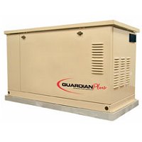 Natural gas Guardian home generator